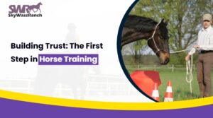 building-trust-first-step-horse-training