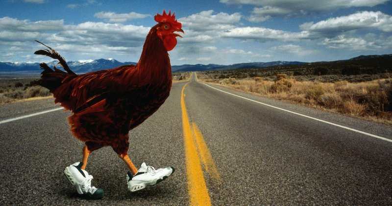 Chicken road españa - Descubre el Atracción del Juego Chicken Road en España: ¡Espectáculo de